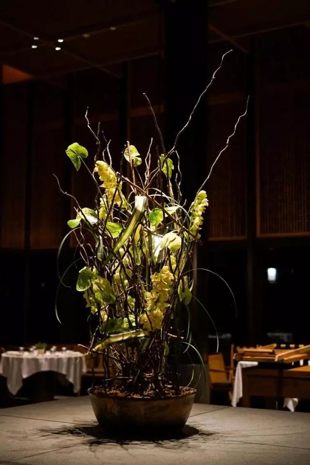 第十六期“眼界论坛”精彩亮相！｜爱花之人，必是情愫满满