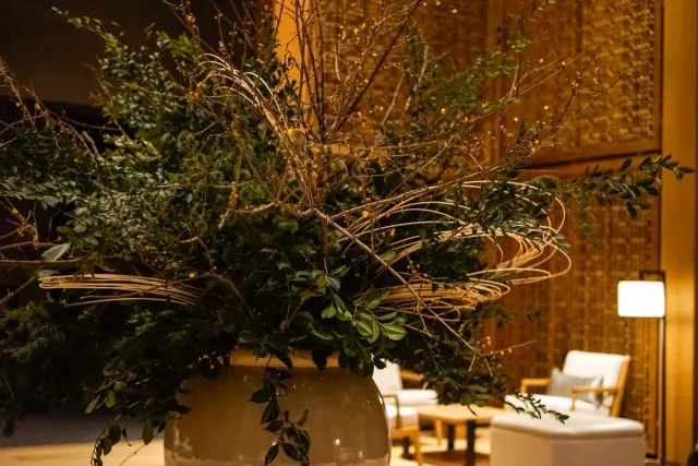 第十六期“眼界论坛”精彩亮相！｜爱花之人，必是情愫满满