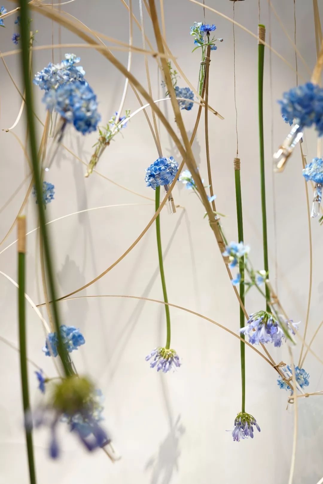 第十六期“眼界论坛”精彩亮相！｜爱花之人，必是情愫满满