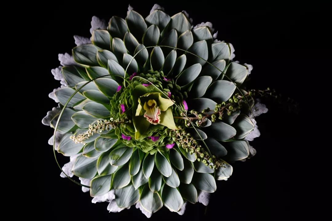 第十六期“眼界论坛”精彩亮相！｜爱花之人，必是情愫满满