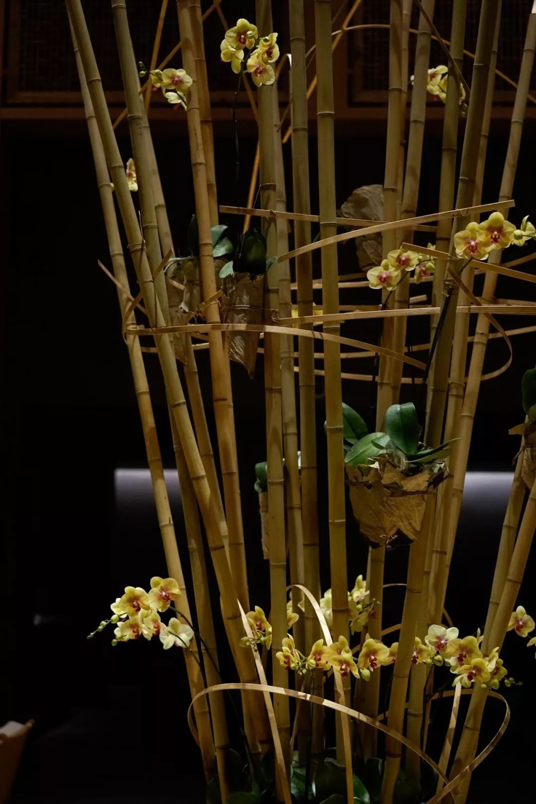 第十六期“眼界论坛”精彩亮相！｜爱花之人，必是情愫满满