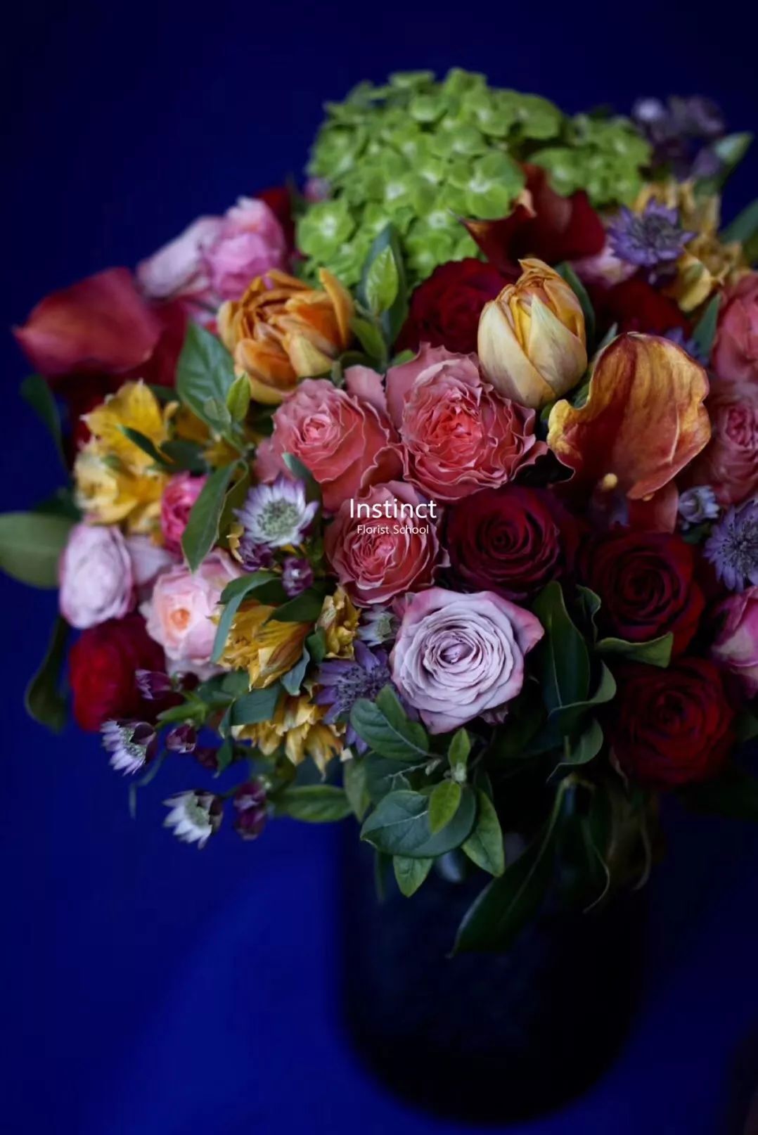 第十六期“眼界论坛”精彩亮相！｜爱花之人，必是情愫满满