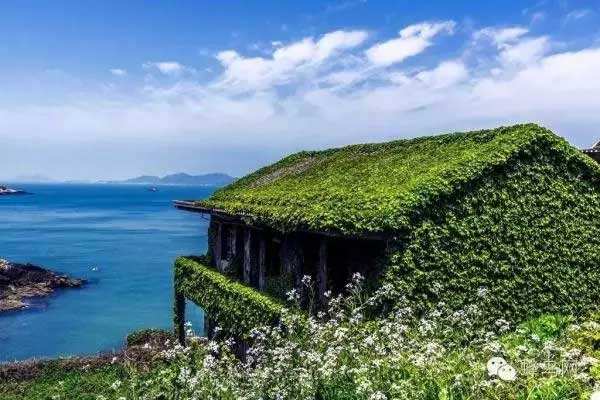 江水搅浑了海洋，蔚蓝便守在了枸杞岛