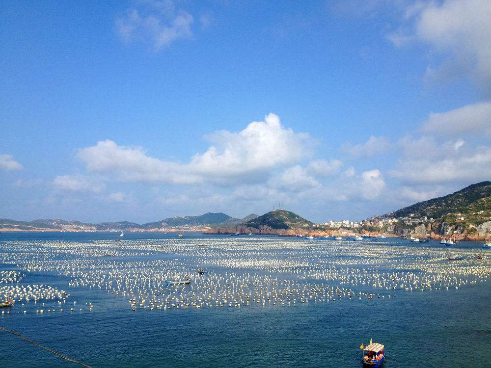 江水搅浑了海洋，蔚蓝便守在了枸杞岛