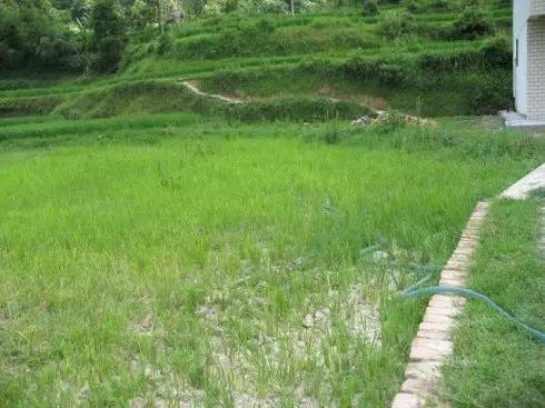 江西遂川老家视频,遂川县城的老县城照片