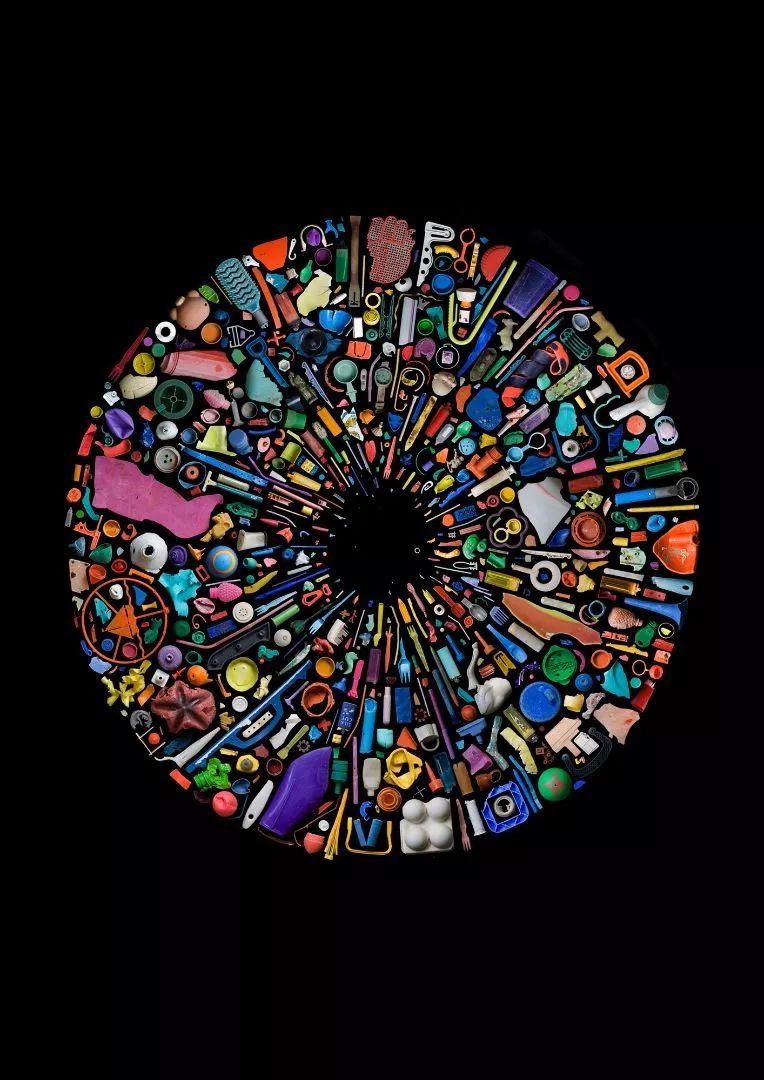 要地球，还是塑料？｜Zoom