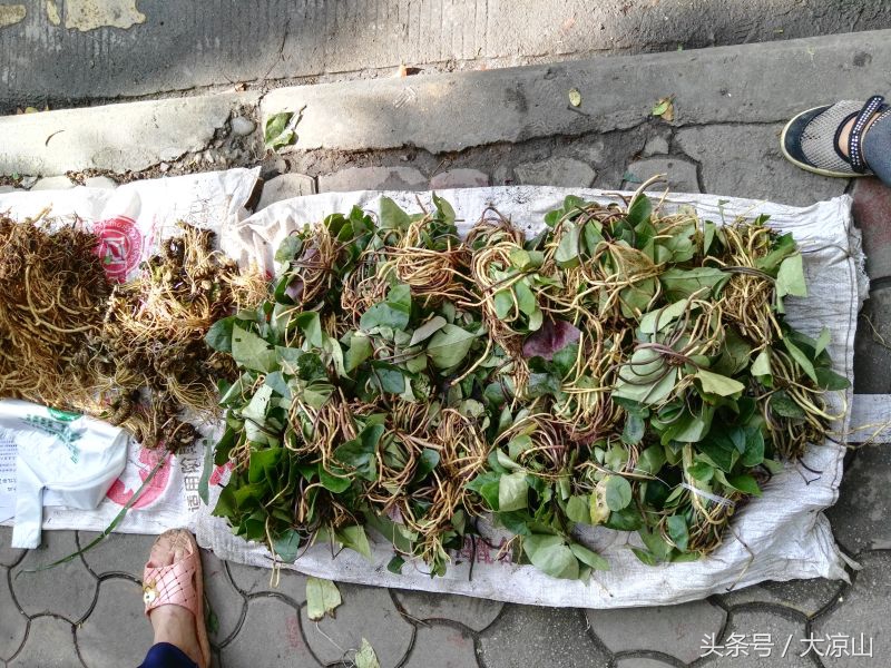 6月18日德昌端午节火爆场面将至,众多中草药先让你辨认,药膳宴等你品尝