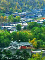 中国各地适合送礼特产一览表,收藏老物件中国