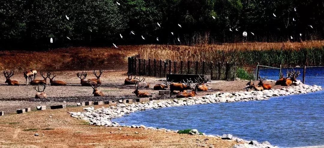 16个北京之最！一般人都不可能去过五个以上！