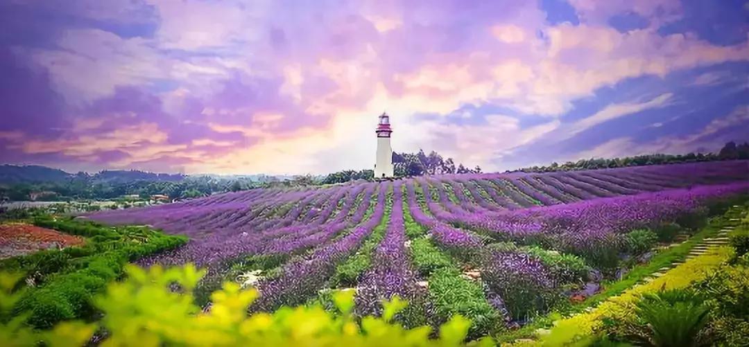 桃源小镇周边,成都桃源镇旅游景点