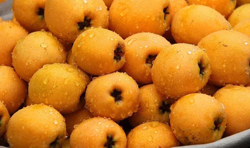 桃源小镇周边,成都桃源镇旅游景点