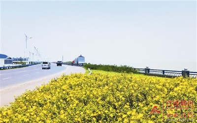 骑游活动的规则,骑游大会规则