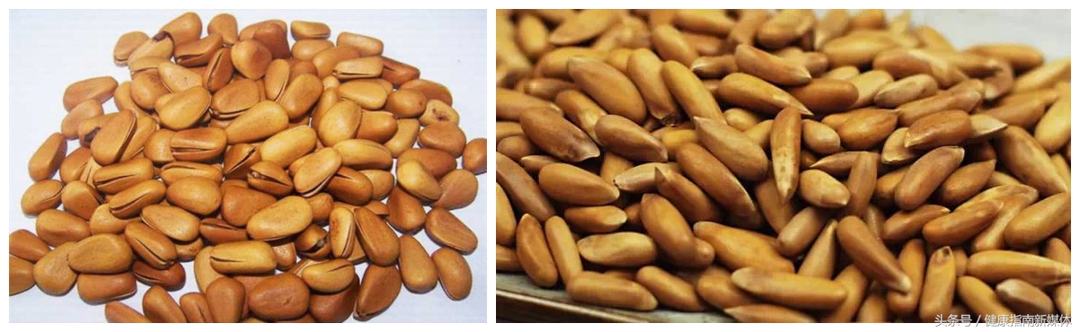 巴西松子网上为啥那么便宜,巴西松子真的是巴西的吗