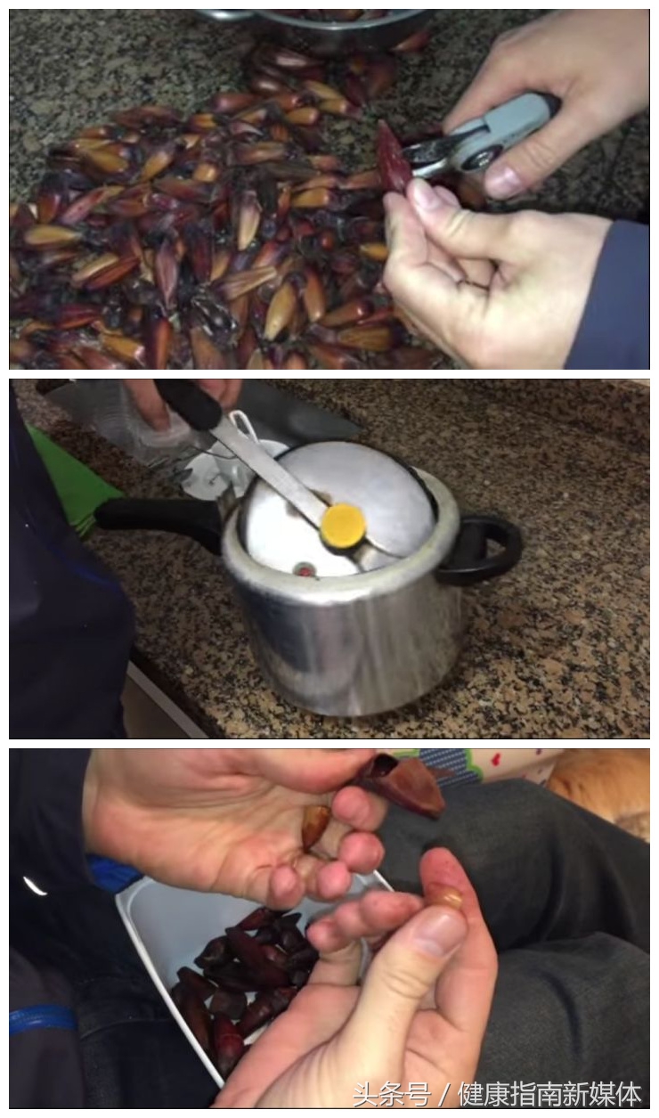 巴西松子网上为啥那么便宜,巴西松子真的是巴西的吗