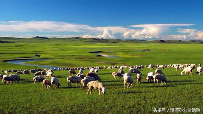 六月份去呼伦贝尔大草原旅游攻略,6月底呼伦贝尔大草原有草吗