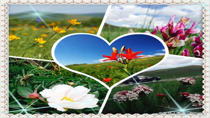 六月份去呼伦贝尔大草原旅游攻略,6月底呼伦贝尔大草原有草吗