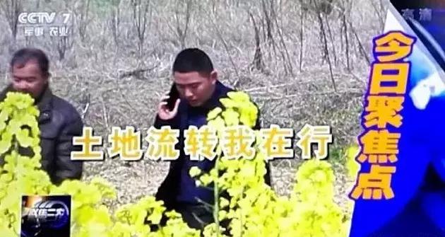 土地流转助推产业振兴,土地经纪人的潜力