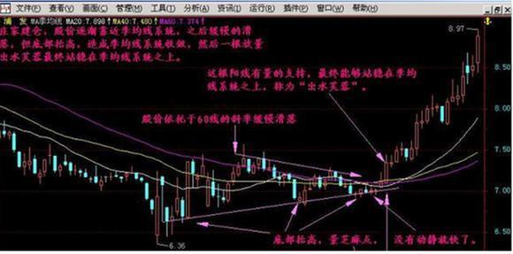 一位股市天才的退市感悟,一位股市天才的分享