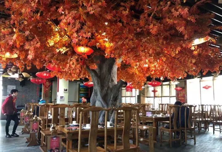 不要吓我完整版,明星高颜值又好吃的高级餐厅