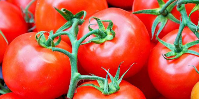 空腹不能吃黄瓜,早晨空腹吃西红柿有什么好处