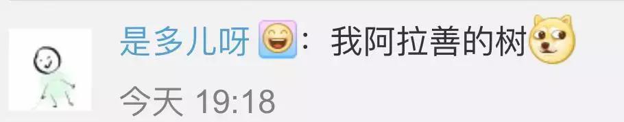 手机号是种财产能被继承！那QQ、微博、虚拟游戏账号……是不是也能“后继有人”？