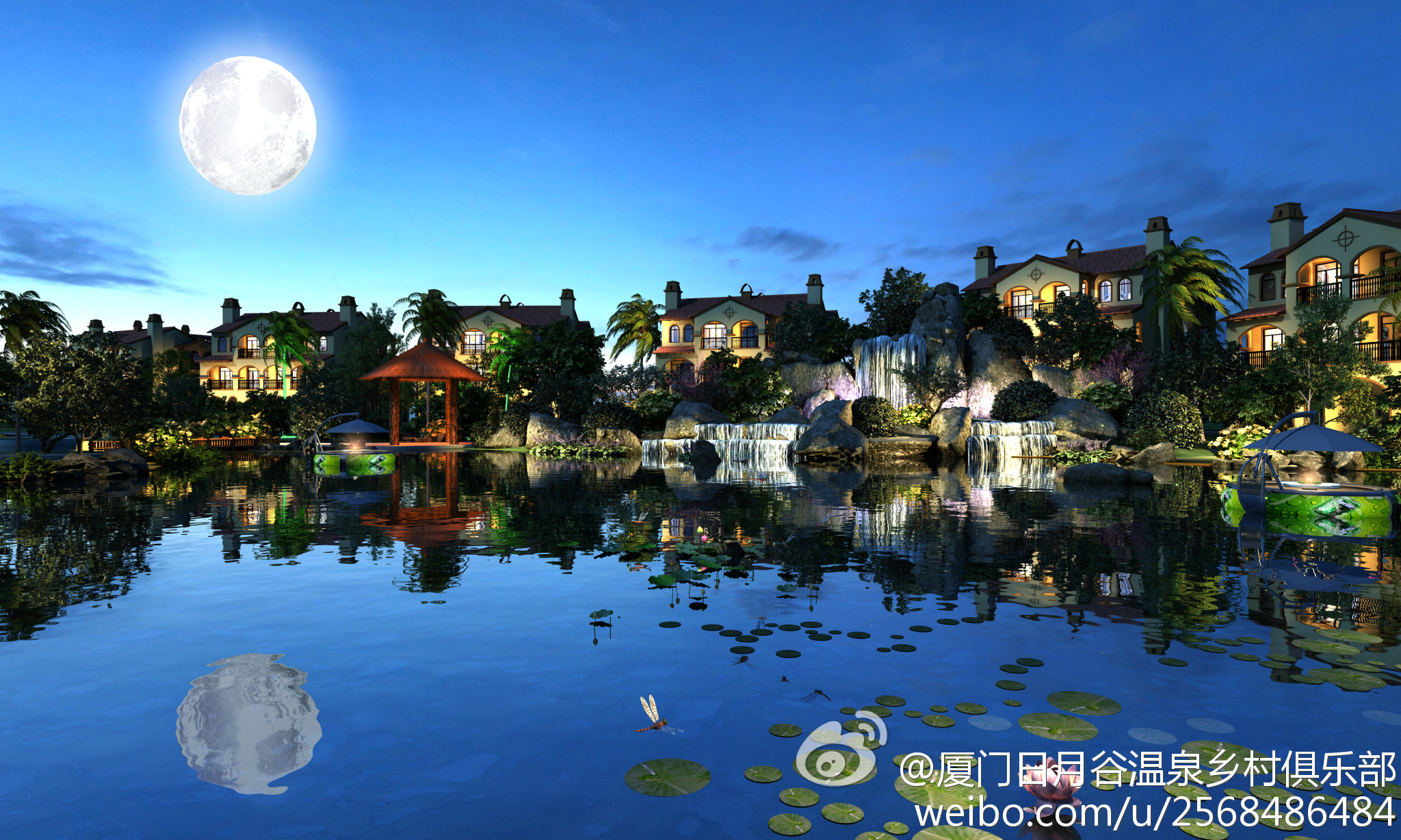 福建厦门海沧区,福建海沧区