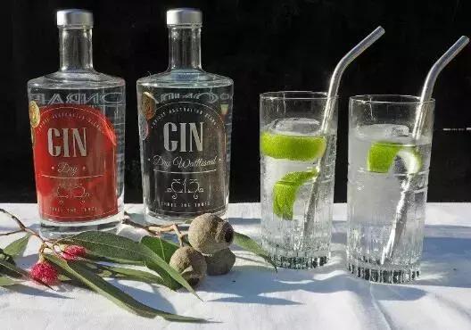 澳大利亚绿蚂蚁杜松子酒价格,比较好的杜松子酒