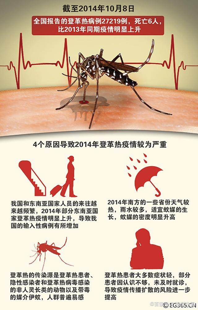 夏季驱蚊必备好物推荐,用过最有效的驱蚊产品