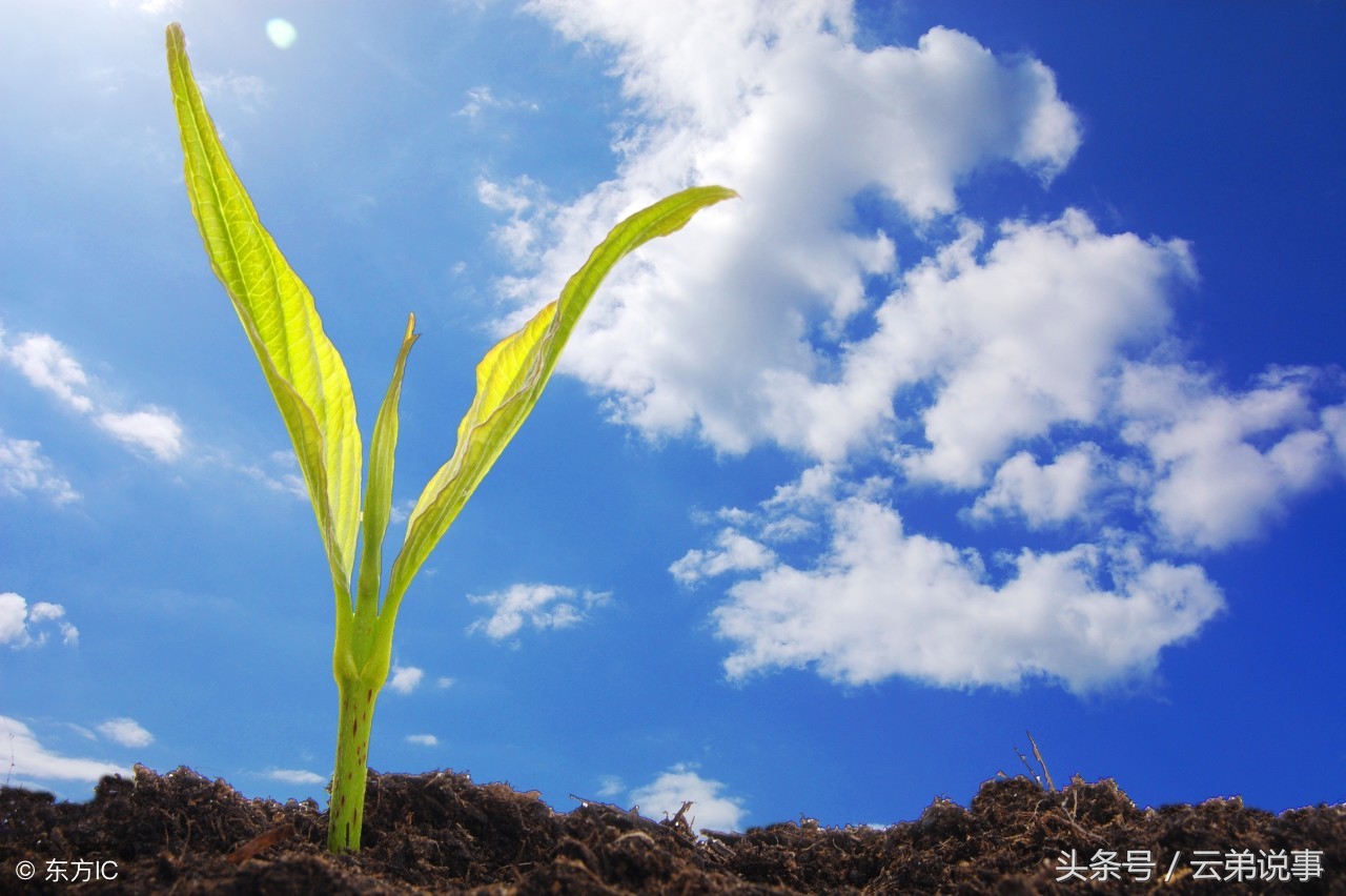 心不屈,定不凡,30余载资深风水王师傅教你如何面对人生无常!