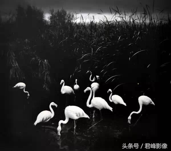 如何拍有质感的黑白照片,如何拍出有质感的黑白照片