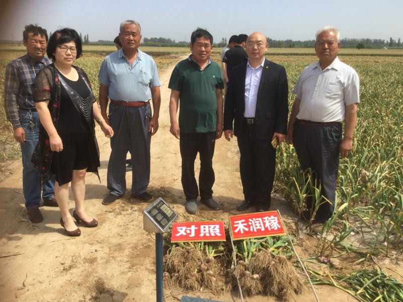 油桃大量上市相约莒县油桃市场,冠县大棚油桃价格表