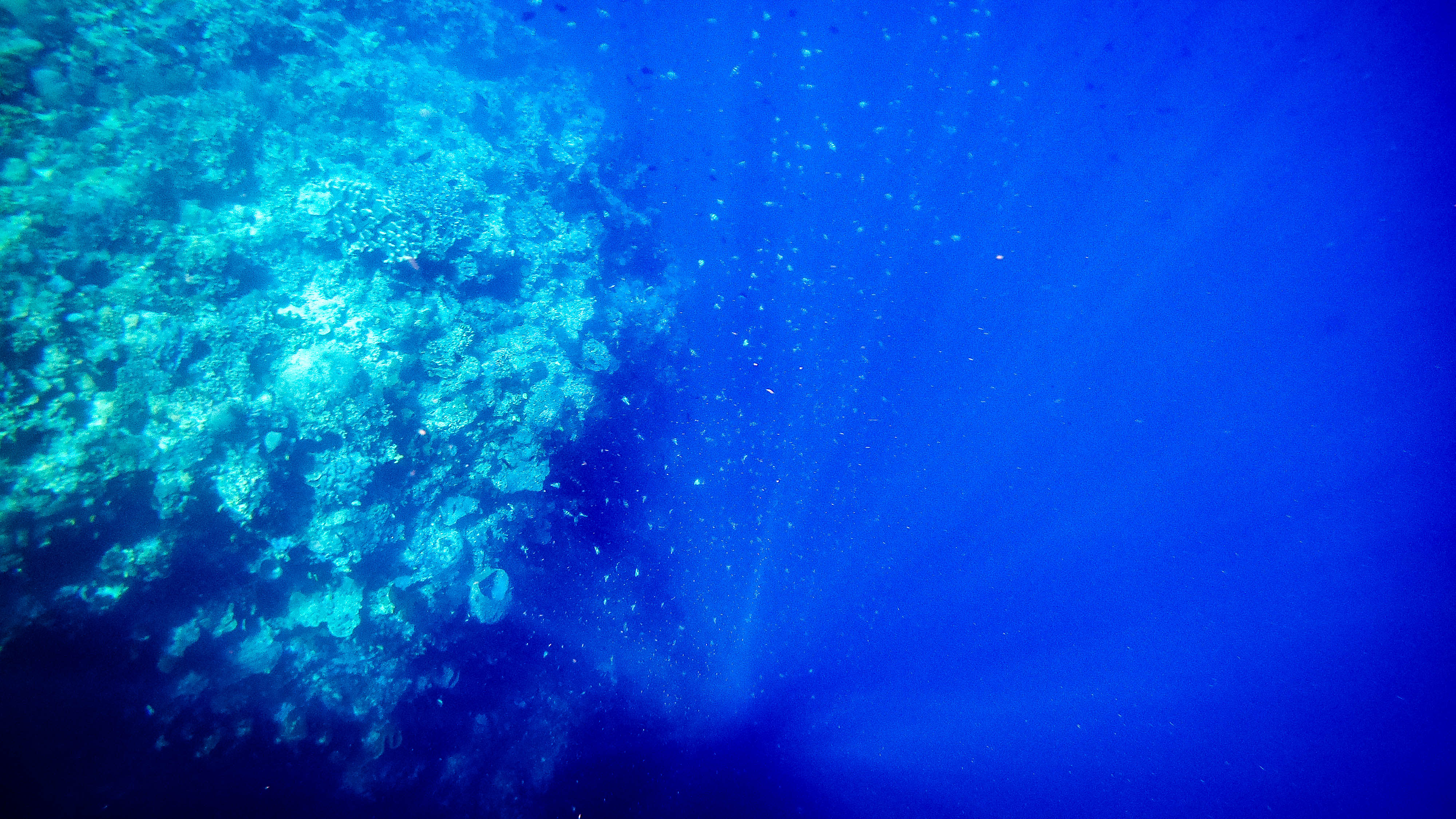 印尼美娜多在什么地方,印尼美娜多完整攻略