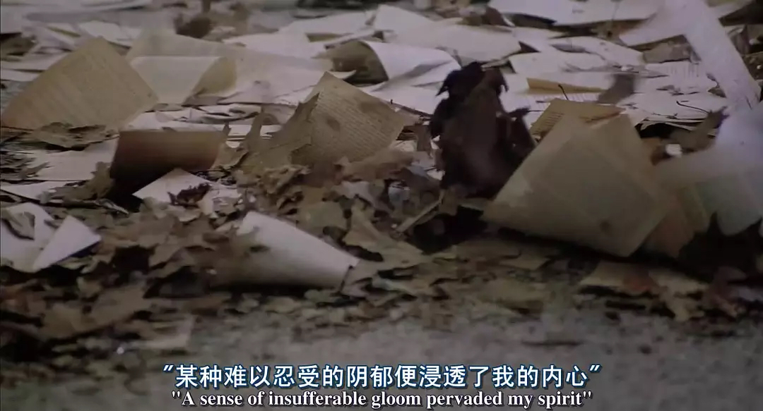 离婚后的你有什么改变,离婚后双方的感受是什么