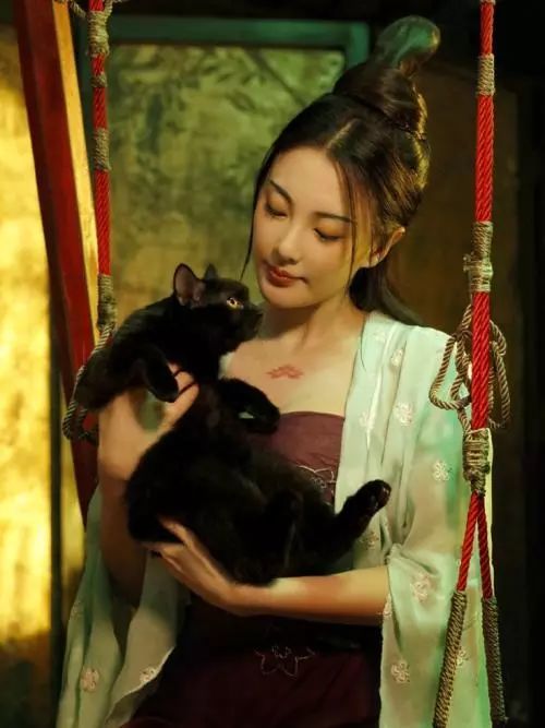 张雨绮用爱马仕包包买菜,张雨绮买菜爱马仕