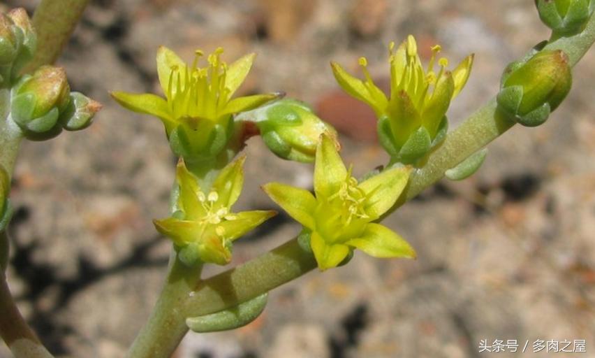 炎炎夏日送你一丝清凉,炎炎夏日送您清凉一夏