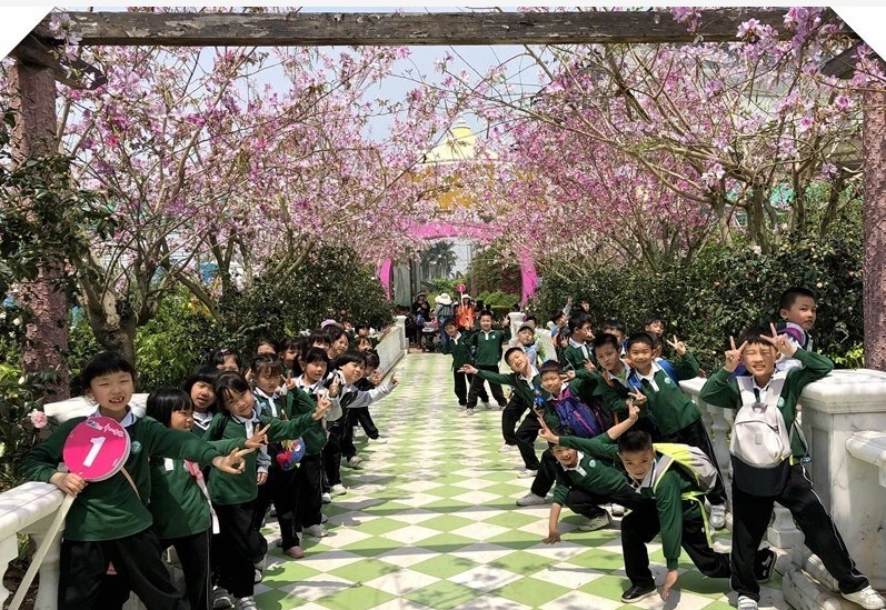 带你上名校的学校,东区最好的小学
