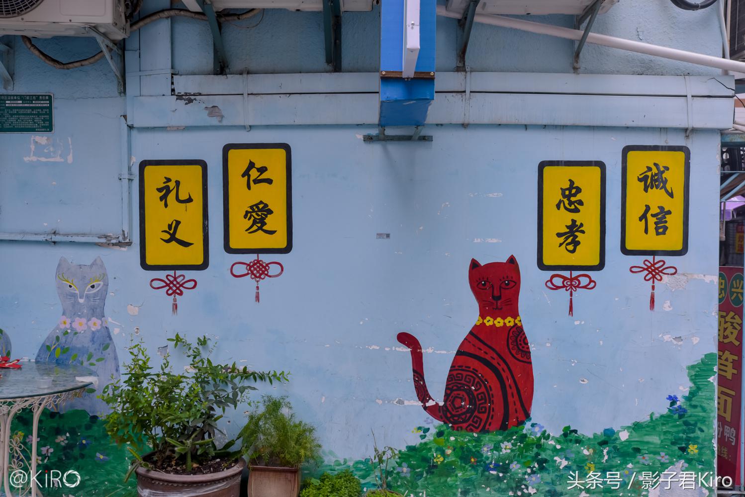 在厦门旅游去哪里看日落,去厦门的一天自由行旅游攻略