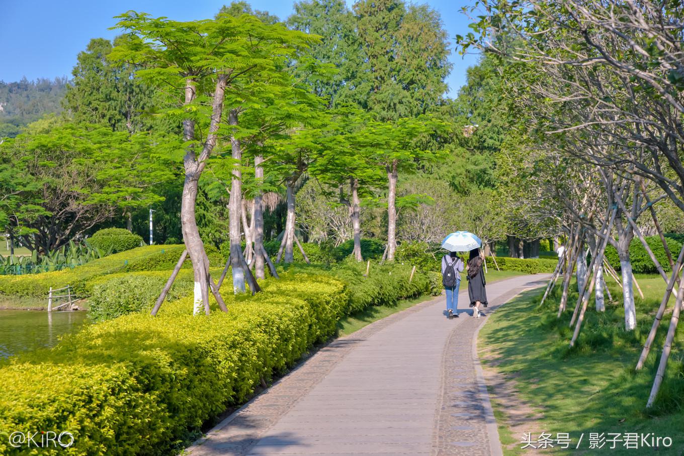在厦门旅游去哪里看日落,去厦门的一天自由行旅游攻略