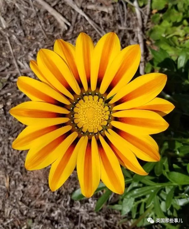 一波强迫症治愈图正在向你袭来，看完神清气爽有木有～