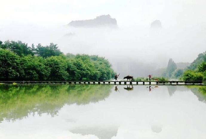 关于春天古诗词鉴赏和赏析,描写春天的古诗词名句精选