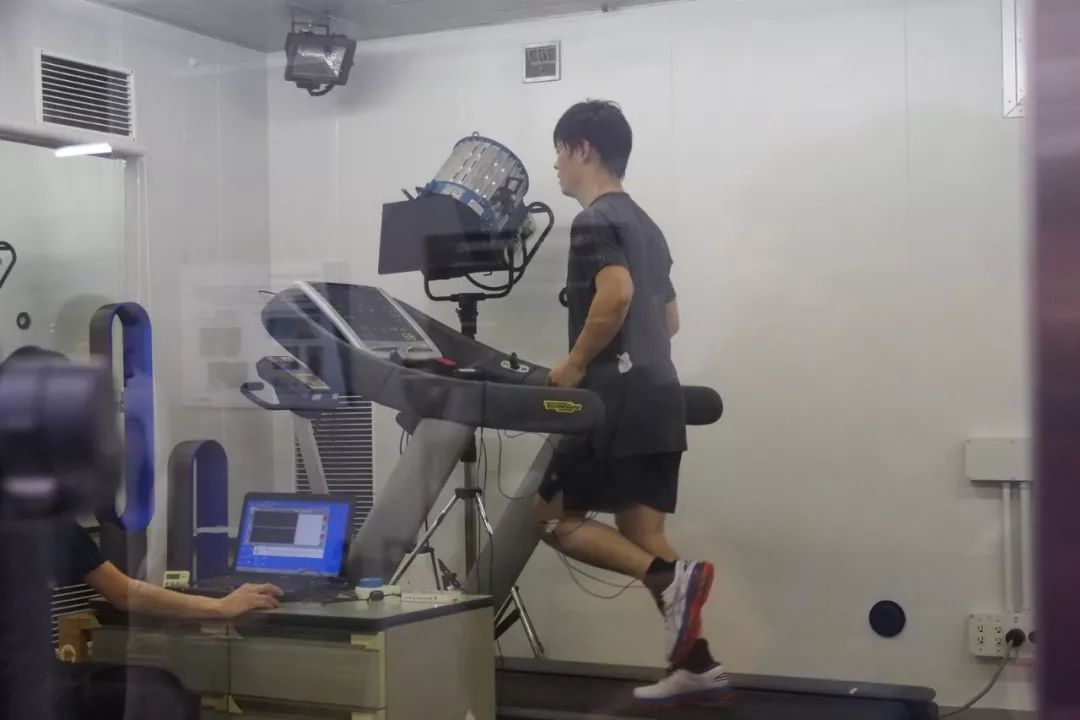 gel-kayano25评测,亚瑟士gel-kayano系列内部结构