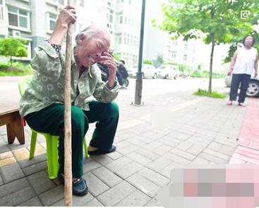 老妇路口捡酒瓶,女人过马路见老人拾瓶子救人