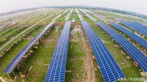 现在新型农业都有哪些,新型农业种植模式