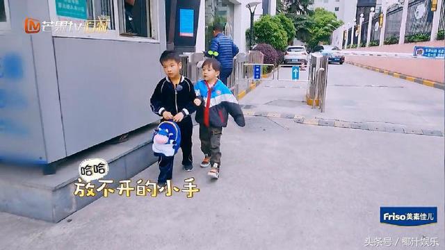 邓莎大麟子磕伤,邓莎受伤