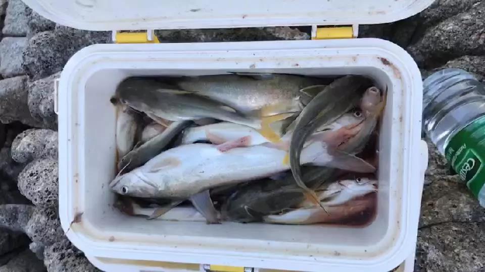 台山漭洲岛海钓,台山漭洲岛游玩攻略