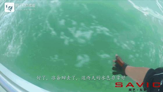 台山漭洲岛海钓,台山漭洲岛游玩攻略