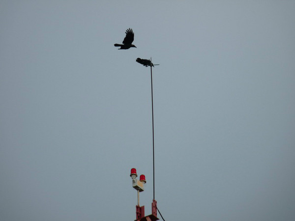 马尔代夫月桂岛攻略,7月份去马尔代夫