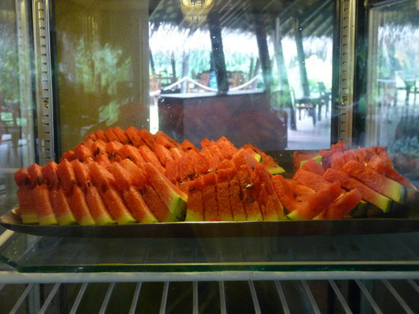 马尔代夫月桂岛攻略,7月份去马尔代夫