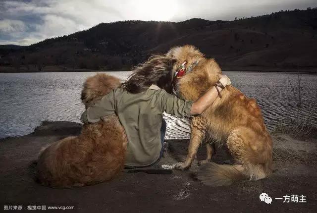 从“流浪”到“餐桌”鬼知道它们都经历了什么？