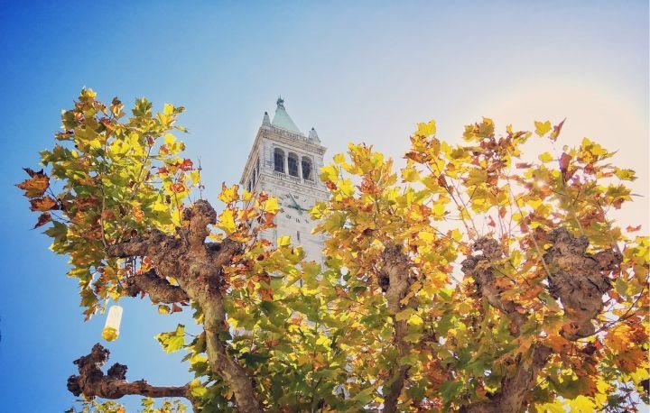 被称为“美国现代文化起源地”“嬉皮士诞生地”,这所大学不一般